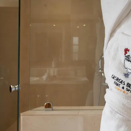 Georges Blanc Parc&spa 5*
