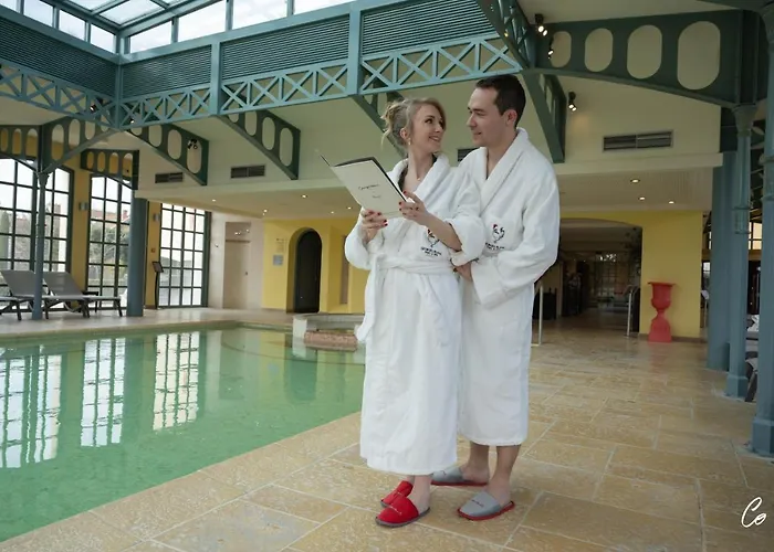Georges Blanc Parc & - Relais & Chateaux ホテル ヴォナ